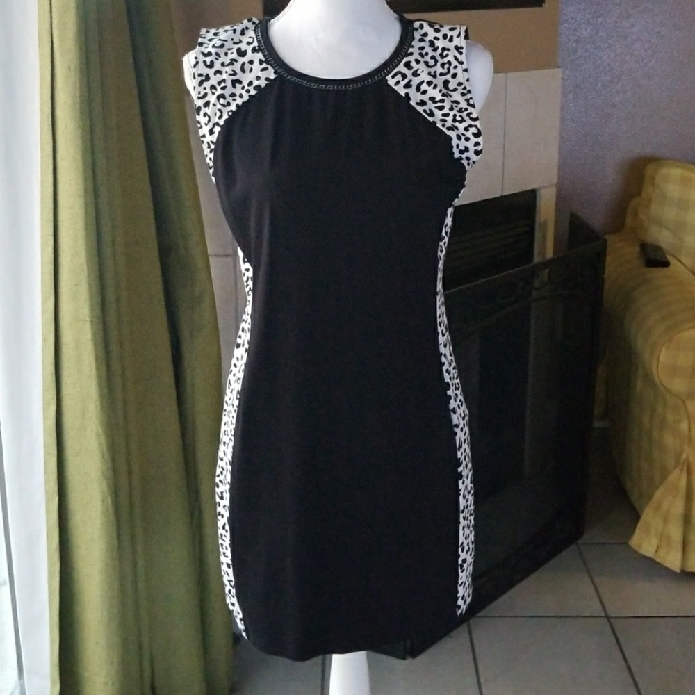 H&M Leopard Print Dress