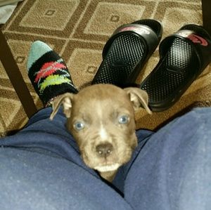 Meet your Posher, Rebecca