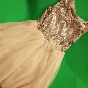 sparkly holiday/special occasion dress