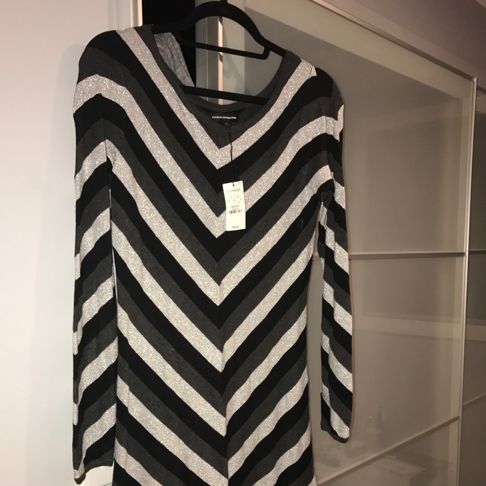 Long sleeved express sweater dress