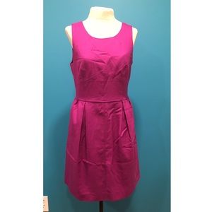 JCrew Purple Dress with Pockets Size 6