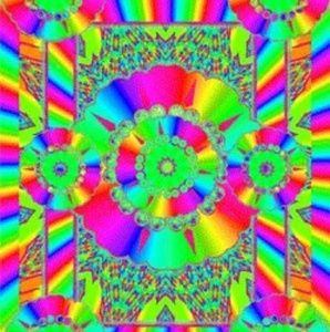 Meet your Posher, Aimee