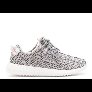 Yeezy 350 boost Turtle Dove