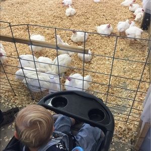 Meet your Posher, Keri