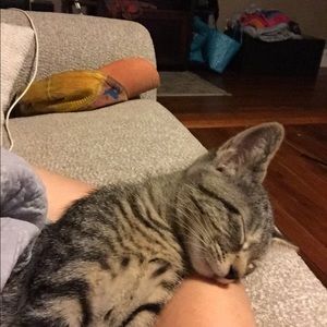 Meet your Posher, Betsy