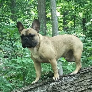 Meet your Posher, Kevin