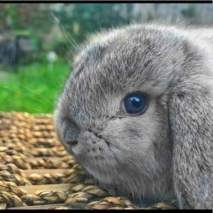 Meet your Posher, Enmanuel