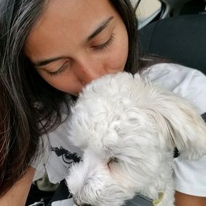 Meet your Posher, Yara