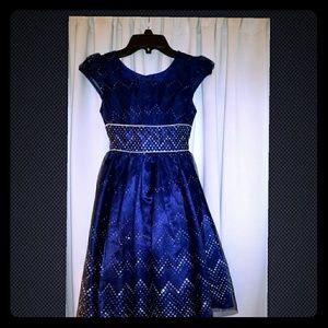 Girls Holiday/Party Dress