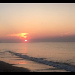 Meet your Posher, Tess