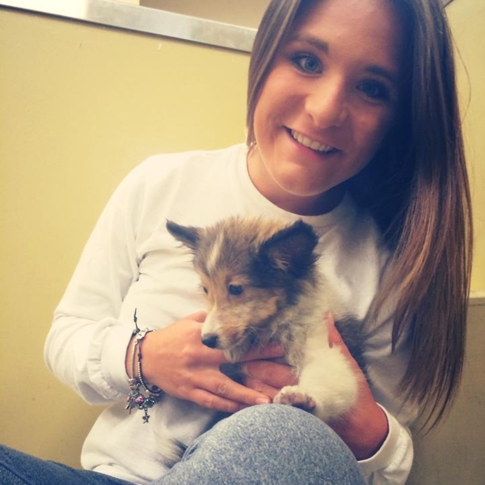 Meet your Posher, Lindsay