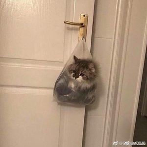 Meet your Posher, Juliette