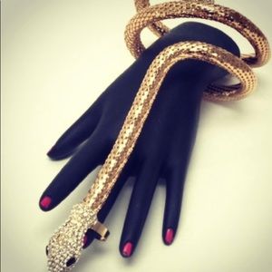 Snake spiral bracelet/ring