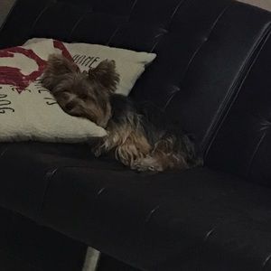 Meet your Posher, Ana