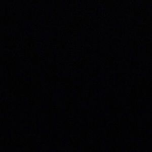 Meet your Posher, Bridgette