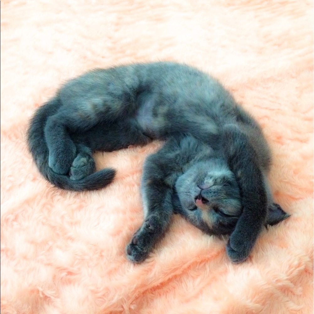 Meet your Posher, Ikuko