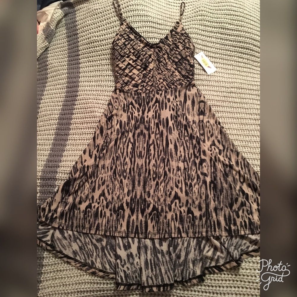 NWT! Jessica Simpson cream/black dress!