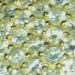 Meet your Posher, Queenie