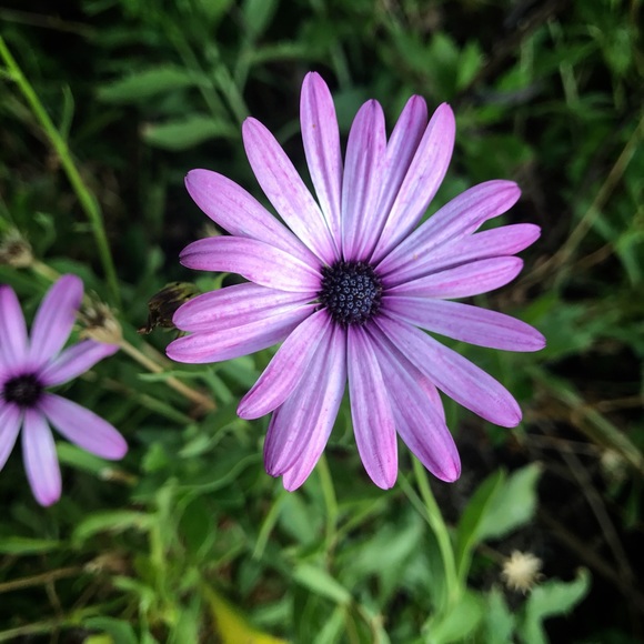 Meet your Posher, Sandra - Picture 4 of 6