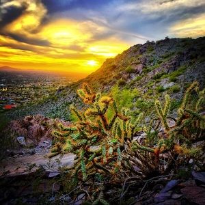 Meet your Posher, Breena