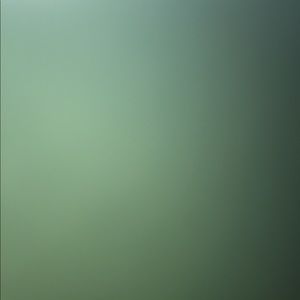 Meet your Posher, Jose