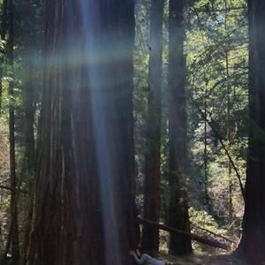 Meet your Posher, Virginia