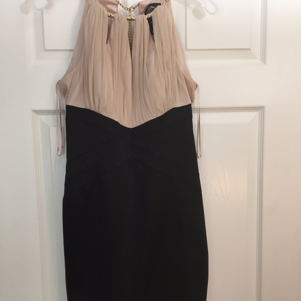 Jax body sheath dress