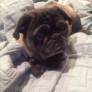 Meet your Posher, Angie