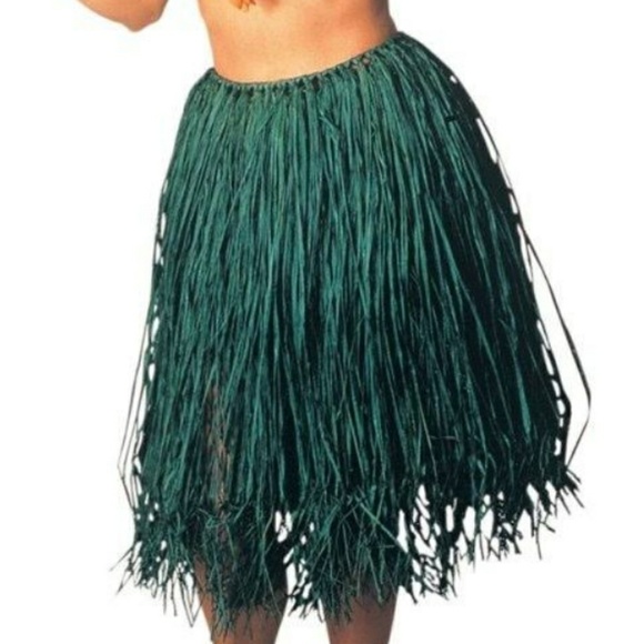 Paper Raffia Hula Skirt Halloween accessory - Picture 1 of 2