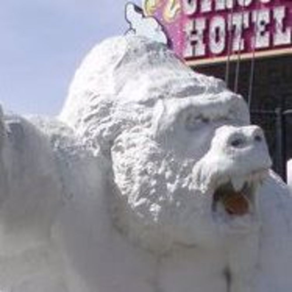 Meet your Posher, Jo