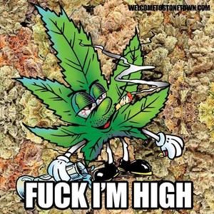 Meet your Posher, Adrian