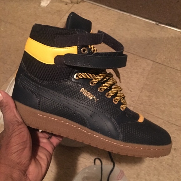 Pumas - Picture 1 of 1