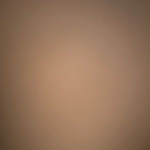 Meet your Posher, Ryann