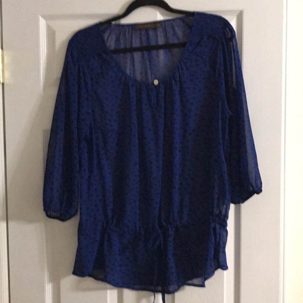 The Limited Sheer Blouse