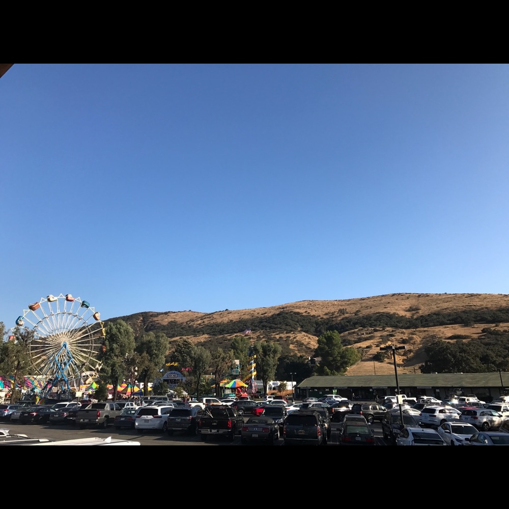 Meet your Posher, Monica