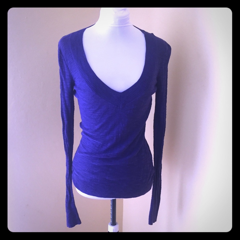 Express Purple vneck lightweight sweater