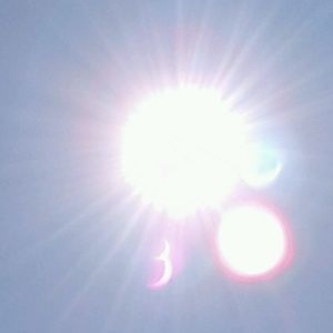 Meet your Posher, Datril