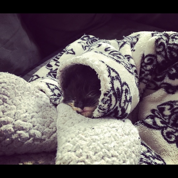 Meet your Posher, Kristen - Picture 1 of 1