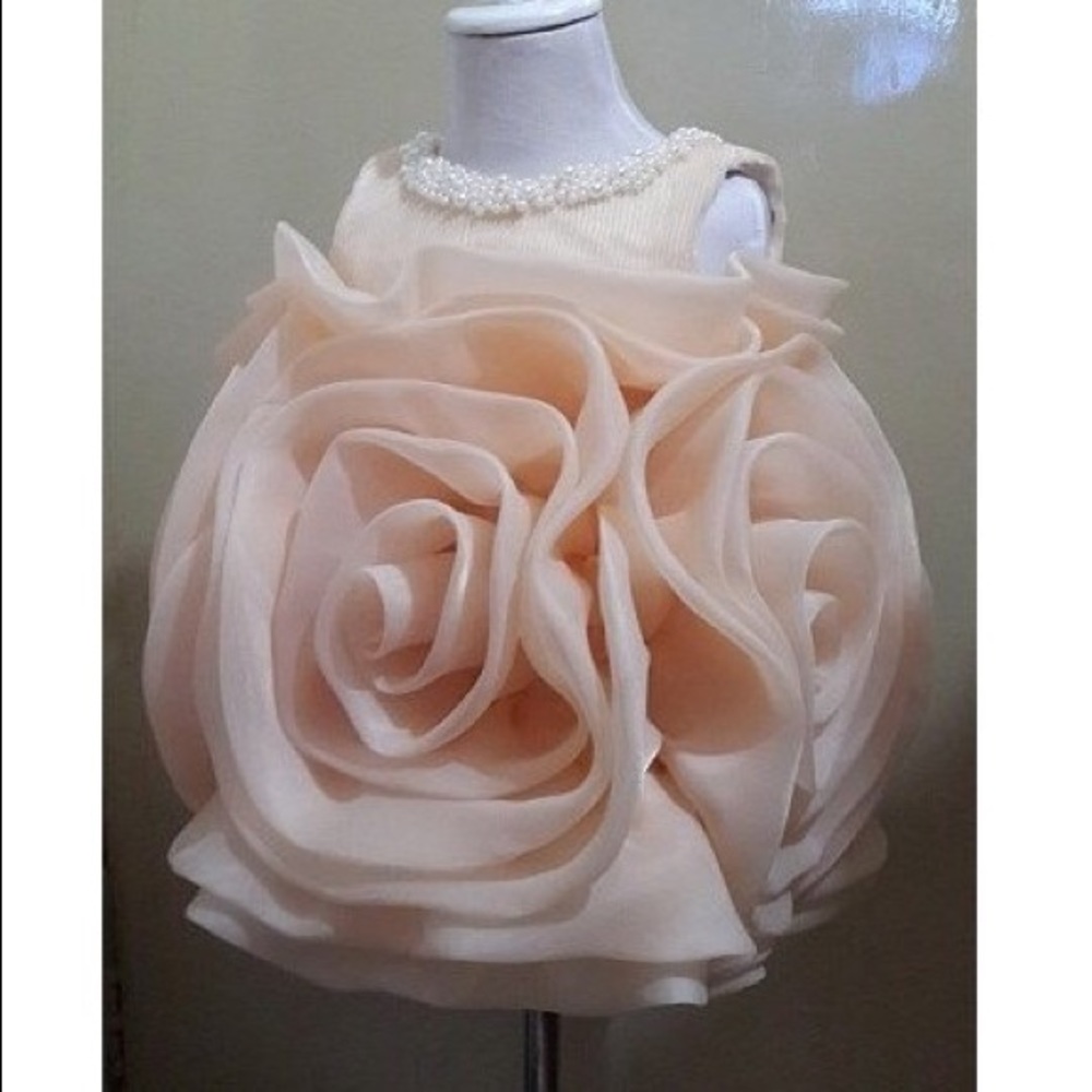 baby girl birthday flower dress