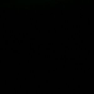 Meet your Posher, Misses