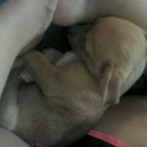 Meet your Posher, Mayra