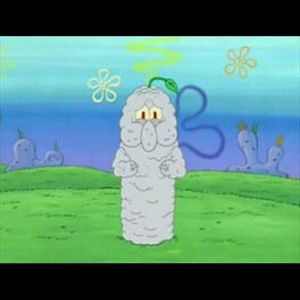 Meet your Posher, Angelina