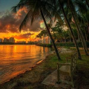 Meet your Posher, Judy