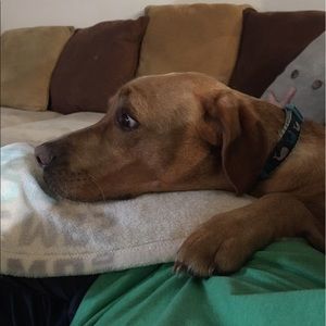 Meet your Posher, Kelly