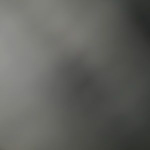 Meet your Posher, Alberto