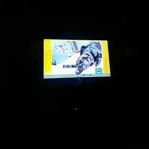 Meet your Posher, Lucy