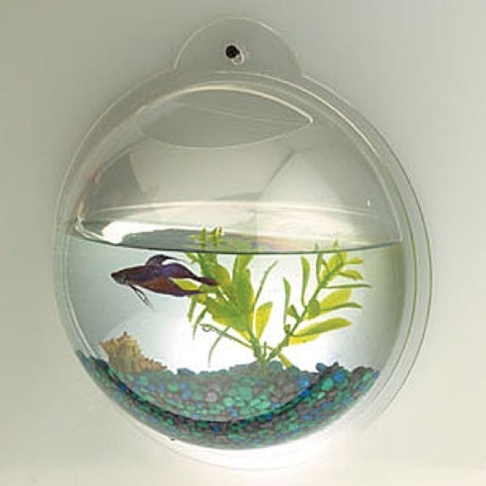 Set of 2 wall mounting fish bowls