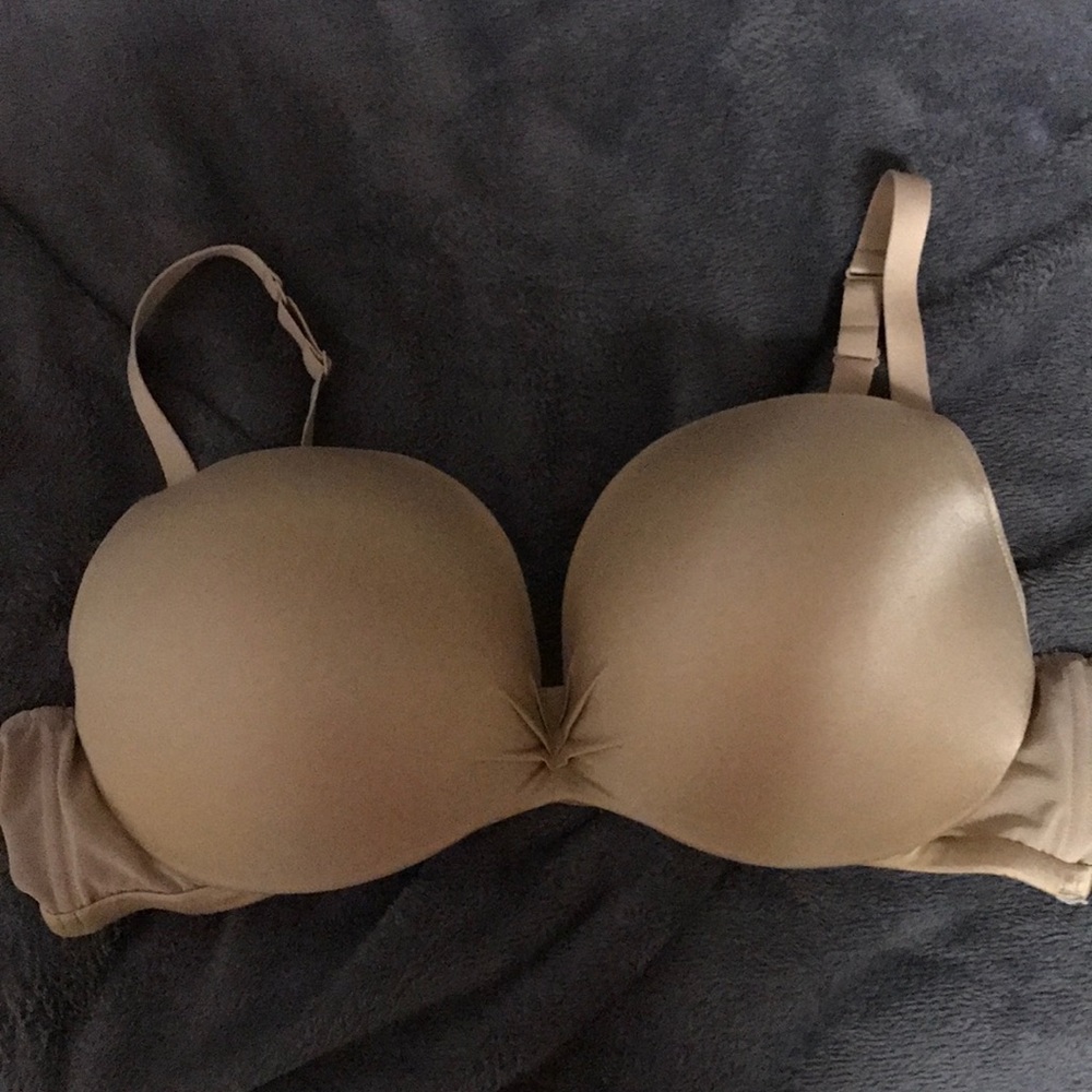Lane Bryant Plunge