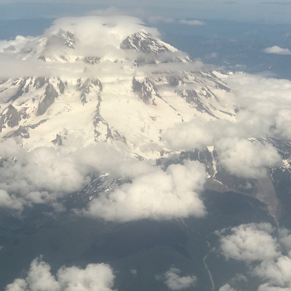 Meet your Posher, Robyn