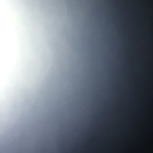 Meet your Posher, Dante